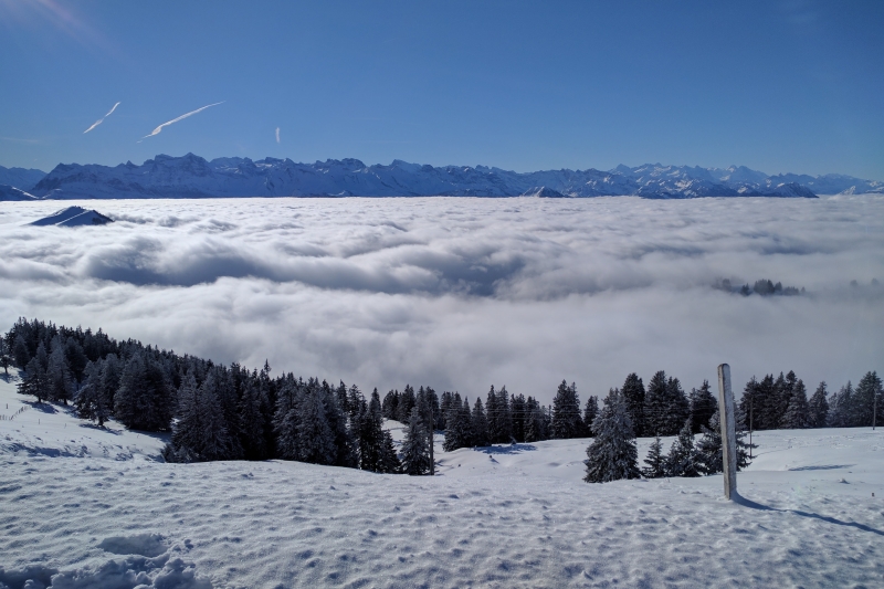 The cloud tops at Rigi Kulm presenting Tomviz to an international audience