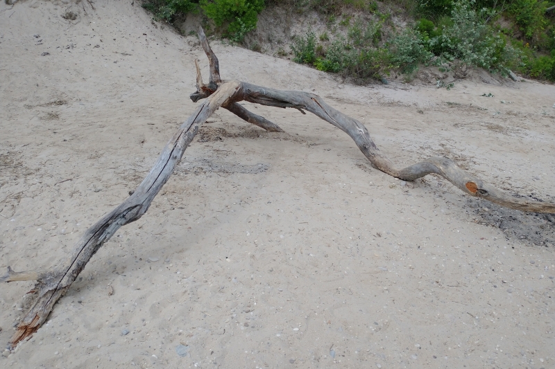 One of the small beaches on Long Island during a recent scouting trip